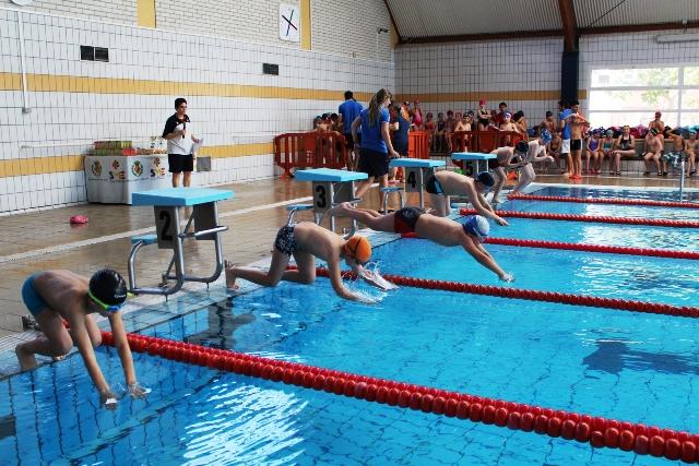 Les piscines i pavellons esportius municipals de Vila-real comptabilitzen prop de 330.000 accessos anuals