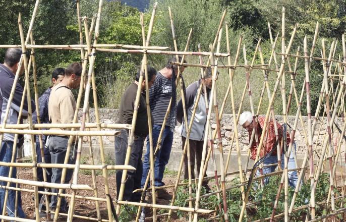 Vila-real repartirà un pack de plantació hortícola per a impulsar l’educació ambiental en el confinament 