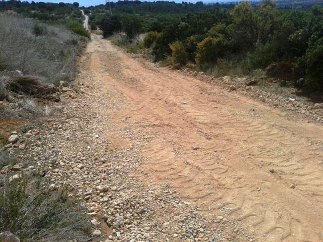 Vila-real adjudica el primer servei permanent de neteja i desbrossament de vies públiques, camins rurals i solars municipals