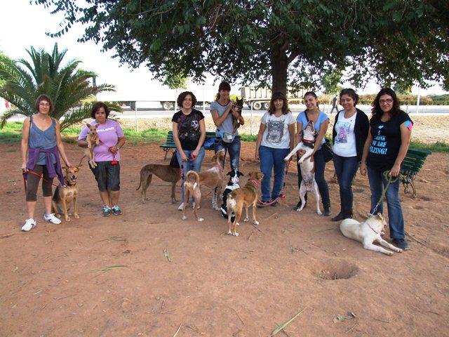 Vila-real llança la campanya ‘No soc un joguet’ per a demanar responsabilitat a l’hora de regalar mascotes