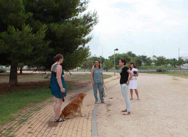 Nou contracte de recollera d’animals a Vila-real amb sacrifici zero i esterilització de colònies felines