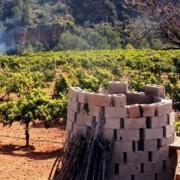 Vila-real regula l’ús del foc en explotacions agrícoles i ramaderes amb el Pla local de cremes 