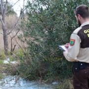 El Consorci del Millars informa de la disminució d’abocaments ilegals al riu