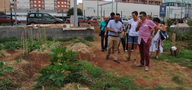 El nou banc de llavors permetrà conservar productes de ‘quilometro 0’ als horts urbans de la ciutat