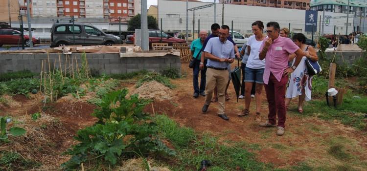 Vila-real treballa a complir els Pressupostos Participatius, i podria canviar la ubicació dels horts urbans