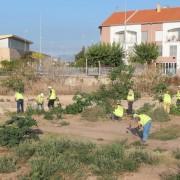 Vila-real prevé els efectes de la gota freda amb el primer torn de neteja de barrancs i camins rurals