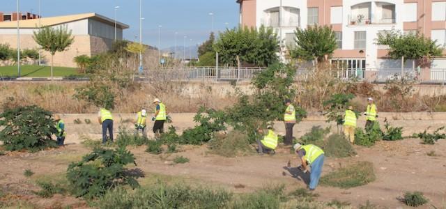 Vila-real prevé els efectes de la gota freda amb el primer torn de neteja de barrancs i camins rurals