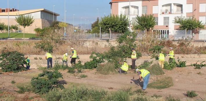 Vila-real prevé els efectes de la gota freda amb el primer torn de neteja de barrancs i camins rurals