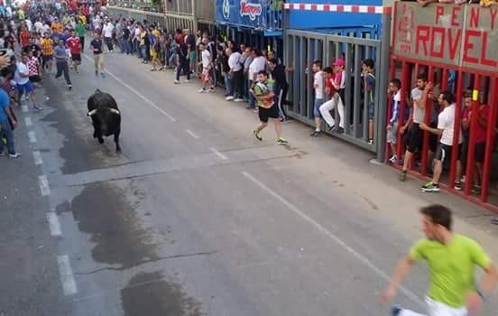 Les festes de Vila-real es despedixen de les activitats taurines amb un sabor agredolç