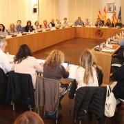 El Consell de Participació Ciutadana prepara els Pressupostos Participatius