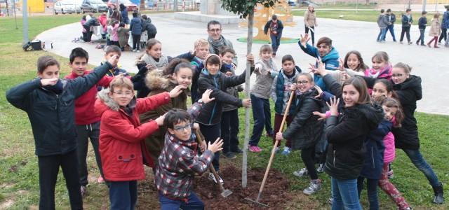 Més de 600 escolars participen fins al divendres que ve en la Setmana Ecològica