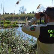 El Consorci del riu Millars desaconsella pescar al paisatge protegit durant la reproducció de les aus