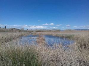 Llacuna-on-es-van-denunciar-els-11-pescadors