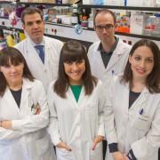 Un despatx d’advocats de Vila-real financia un grup de la Universitat de Navarra que investiga el càncer de pulmó