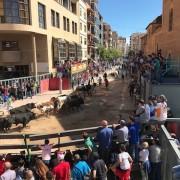 El primer ‘encierro’ de les festes de sant Pasqual se salda amb dos ferits lleus per caiguda