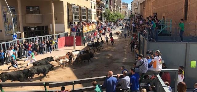 El primer ‘encierro’ de les festes de sant Pasqual se salda amb dos ferits lleus per caiguda