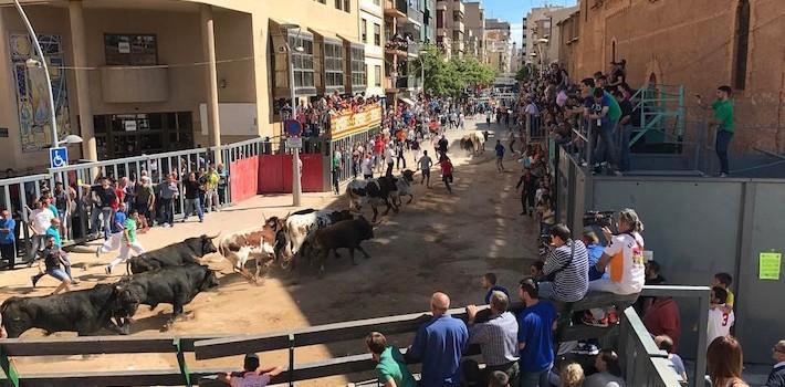 El primer ‘encierro’ de les festes de sant Pasqual se salda amb dos ferits lleus per caiguda