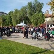 Llum verda per a completar les obres d’adequació del jardí de Botànic Calduch