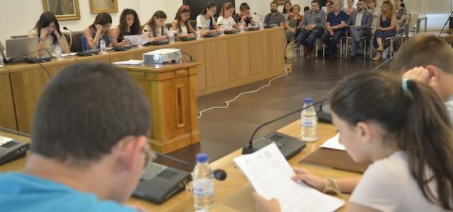 S’obri el termini de recepció de candidatures per a ser membre de Consell de Xiquets