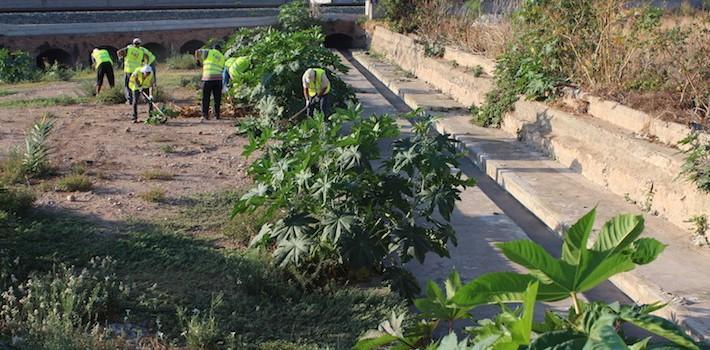 Vila-real contractarà 70 treballadors agrícoles aturats en estiu després d’aconseguir una subvenció del SEPE