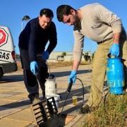 Vila-real demana la col·laboració ciutadana per a pal·liar els efectes del mosquit tigre