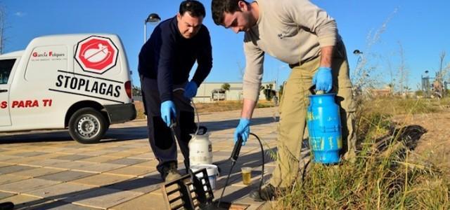 Vila-real demana la col·laboració ciutadana per a pal·liar els efectes del mosquit tigre