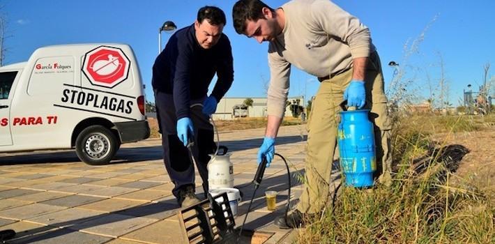 Vila-real demana la col·laboració ciutadana per a pal·liar els efectes del mosquit tigre