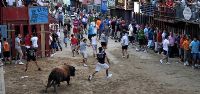 Diego Vila: “Podrem recuperar per fi la tradició del bou per la vila en les festes de Sant Pasqual”