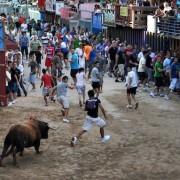 Una única empresa presentada garantitza les barreres dels bous al carrer en les festes de Sant Pasqual