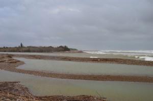 Temporal-de-llevant-desembre-de-2016-ok