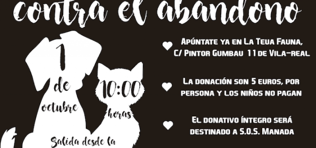 Vila-real celebra la II marxa canina solidària contra l’apandó aquest diumenge 