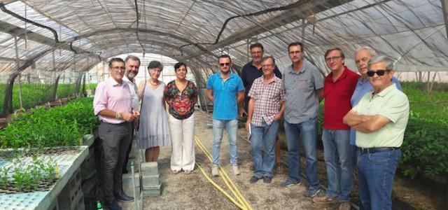 Sancho pren nota del projecte de banc de micorizes desenvolupat al viver de Beniplant a Peníscola 