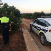 La Policia Rural extrema la vigilància en les primeres collites de cítrics del terme municipal