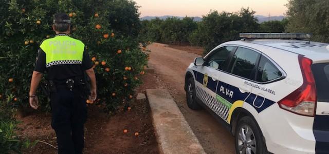 La Policia Rural extrema la vigilància en les primeres collites de cítrics del terme municipal