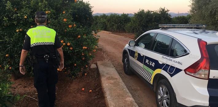 La Policia Rural extrema la vigilància en les primeres collites de cítrics del terme municipal