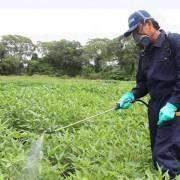 Nova oportunitat laboral amb dos tallers de formació remunerats: agricultura i atenció sociosanitària