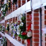 Les floristeries fan el seu ‘agost’ en Tots Sants i treballen a corre-cuita per a tindre els encàrrecs a temps 