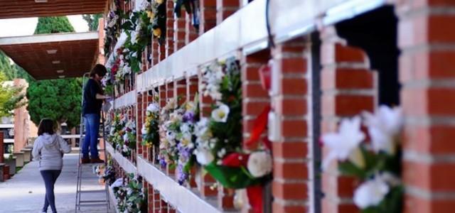 Les floristeries fan el seu ‘agost’ en Tots Sants i treballen a corre-cuita per a tindre els encàrrecs a temps 