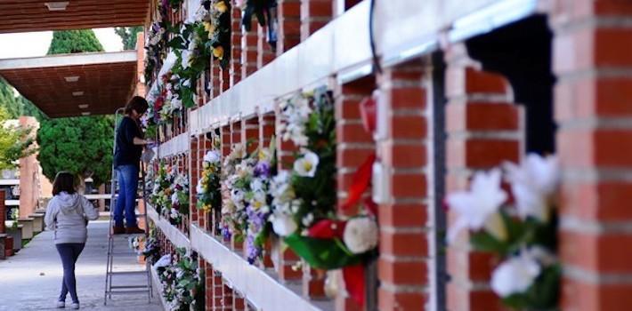 Les floristeries fan el seu ‘agost’ en Tots Sants i treballen a corre-cuita per a tindre els encàrrecs a temps 