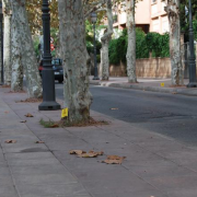 Una dotzena de denúncies durant la campanya de la Policia Local contra els excrements dels animals al carrer  