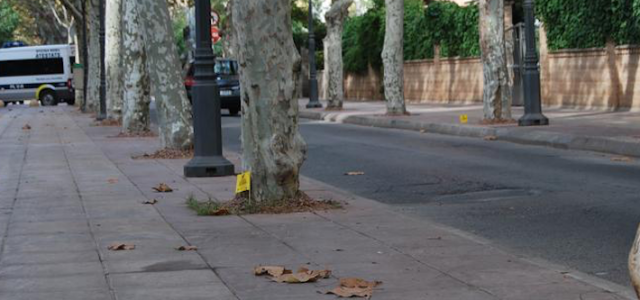 Una dotzena de denúncies durant la campanya de la Policia Local contra els excrements dels animals al carrer  