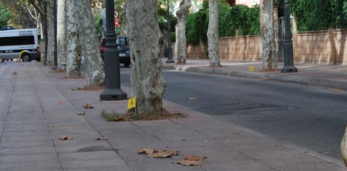 Una dotzena de denúncies durant la campanya de la Policia Local contra els excrements dels animals al carrer  