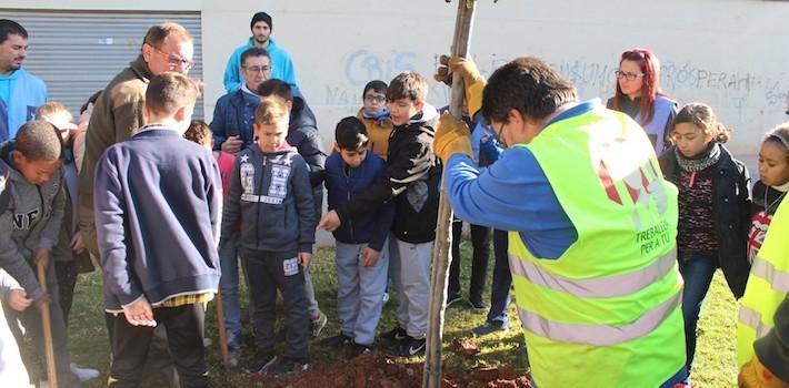 L’alumnat del col·legi Carles Sarthou planta arbres al jardí de la Panderola