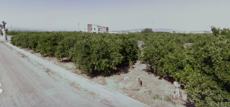 Onada de robatoris en els masets del Camí Cuquello