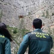 La Guàrdia Civil investiga al propietari de diversos gossos en una parcel·la propera a la Vall d’Uixó