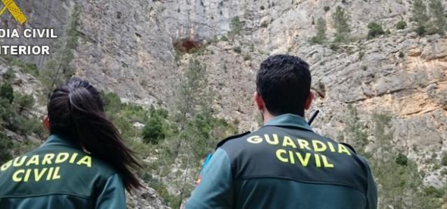 La Guàrdia Civil investiga al propietari de diversos gossos en una parcel·la propera a la Vall d’Uixó