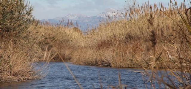 El segon capítol de la sèrie del Paisatge Protegit de la Desembocadura analitza els 14 km d’espai fluvial preservat