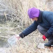 200 fartets són alliberats al Paisatge Protegit de la Desembocadura del riu Millars