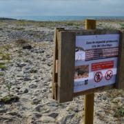 Cartells per a informar de la cria del corriol menut a la desembocadura del Millars i ajudar a preservar els nius