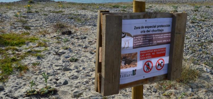 Cartells per a informar de la cria del corriol menut a la desembocadura del Millars i ajudar a preservar els nius